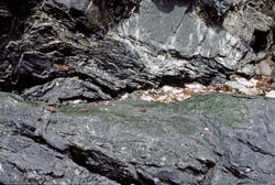 Photo of sample